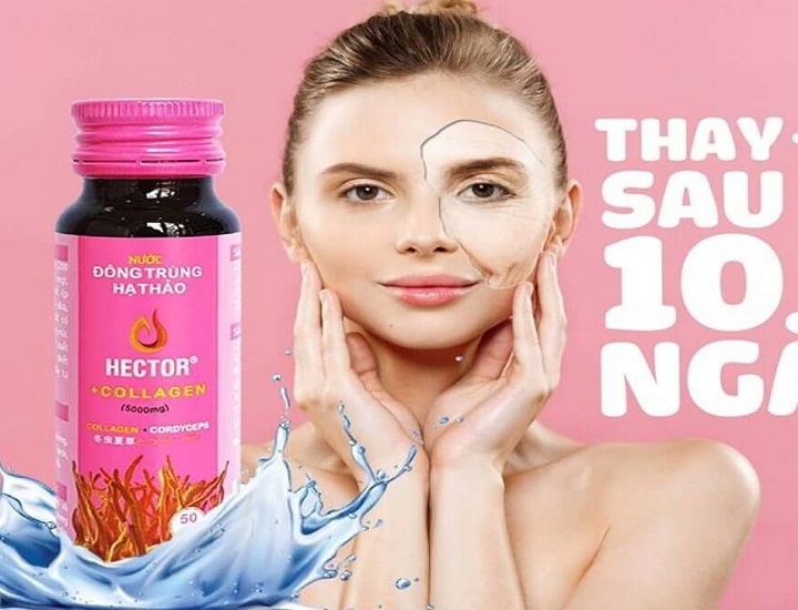 Mang thai uống Collagen đông trùng hạ thảo Hector được không?