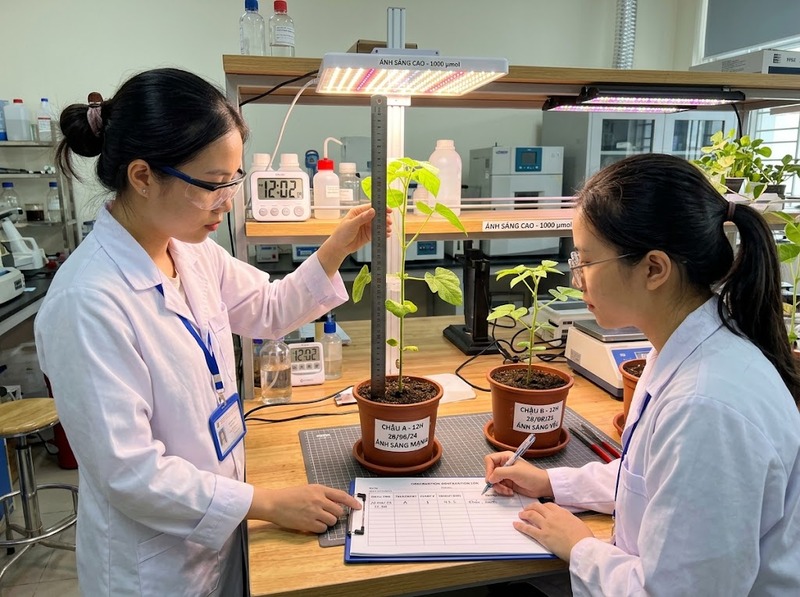 Quan sát khoa học và khác biệt về phương pháp, ghi nhận, khả năng kiểm chứng