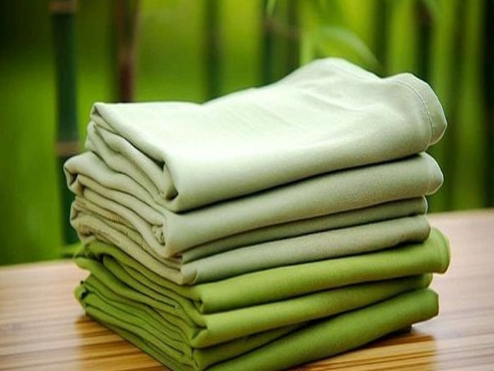 Vải tre là gì? Ưu nhược điểm khi dùng làm vải thân thiện môi trường