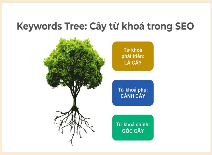 Xác định đâu là từ khóa chính và từ khóa phụ trong một bài SEO