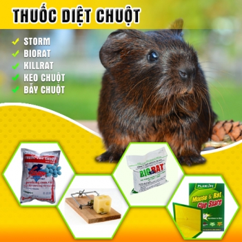 Thành phần độc tố trong thuốc diệt chuột có trong thuốc lá nhập lậu - Khoa học & Đời sống