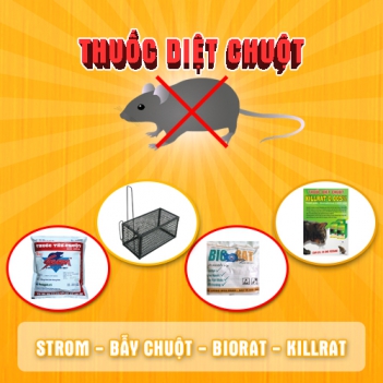 Nếu ăn trúng phải thuốc diệt chuột storm thì phải làm sao? - Khoa học & Đời sống