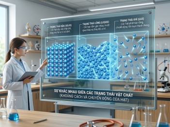 Chất rắn, lỏng và khí khác nhau thế nào?
