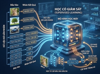 Học có giám sát học từ dữ liệu gắn nhãn thế nào?