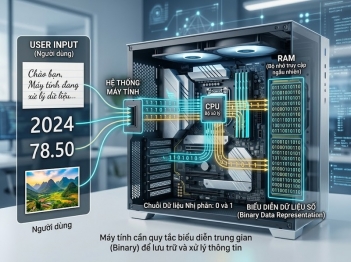 Vì sao máy tính cần mã hóa dữ liệu để xử lý thông tin?