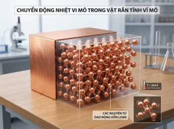 Nhiệt năng liên hệ với chuyển động vi mô của hạt thế nào?