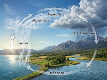 Quá trình tự nhiên khác hiện tượng quan sát được thế nào?