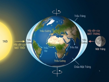 Thủy triều hình thành do lực hấp dẫn như thế nào?